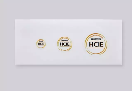 HCIE Logo贴纸.png